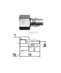 khớp-nối-đầu-cái-trong-ngoài-20pf